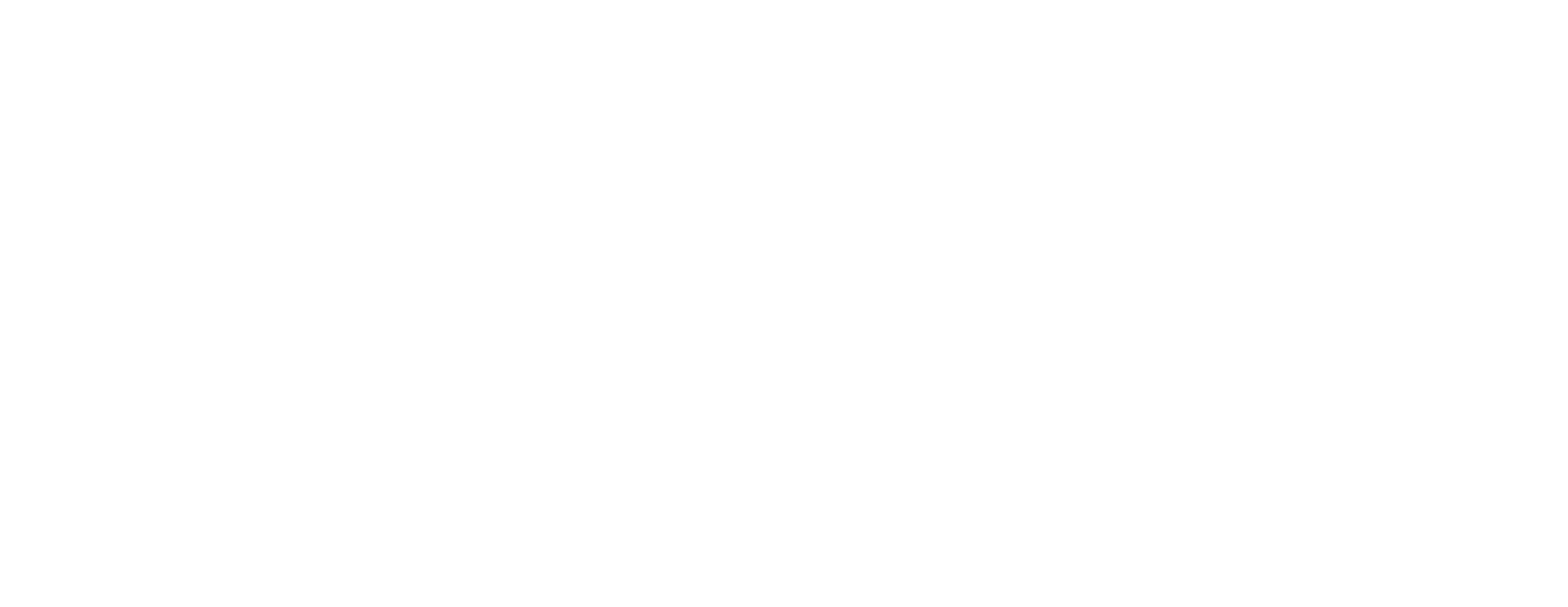 Slashed Project